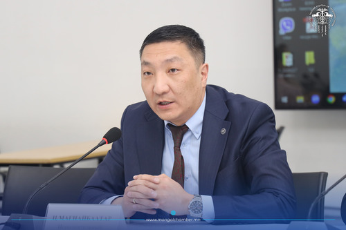 ИНДИКАТОРУУД БИЗНЕСИЙН ОРЧИН ТААРУУХАН, ААН-ҮҮД ХӨРӨНГӨ ОРУУЛАЛТ ХИЙХДЭЭ ХОЙРГОШИЖ БАЙГААГ ХАРУУЛСАН